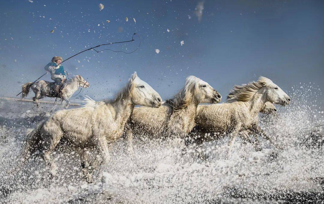 蒙古队选手表现出色，勇往直前