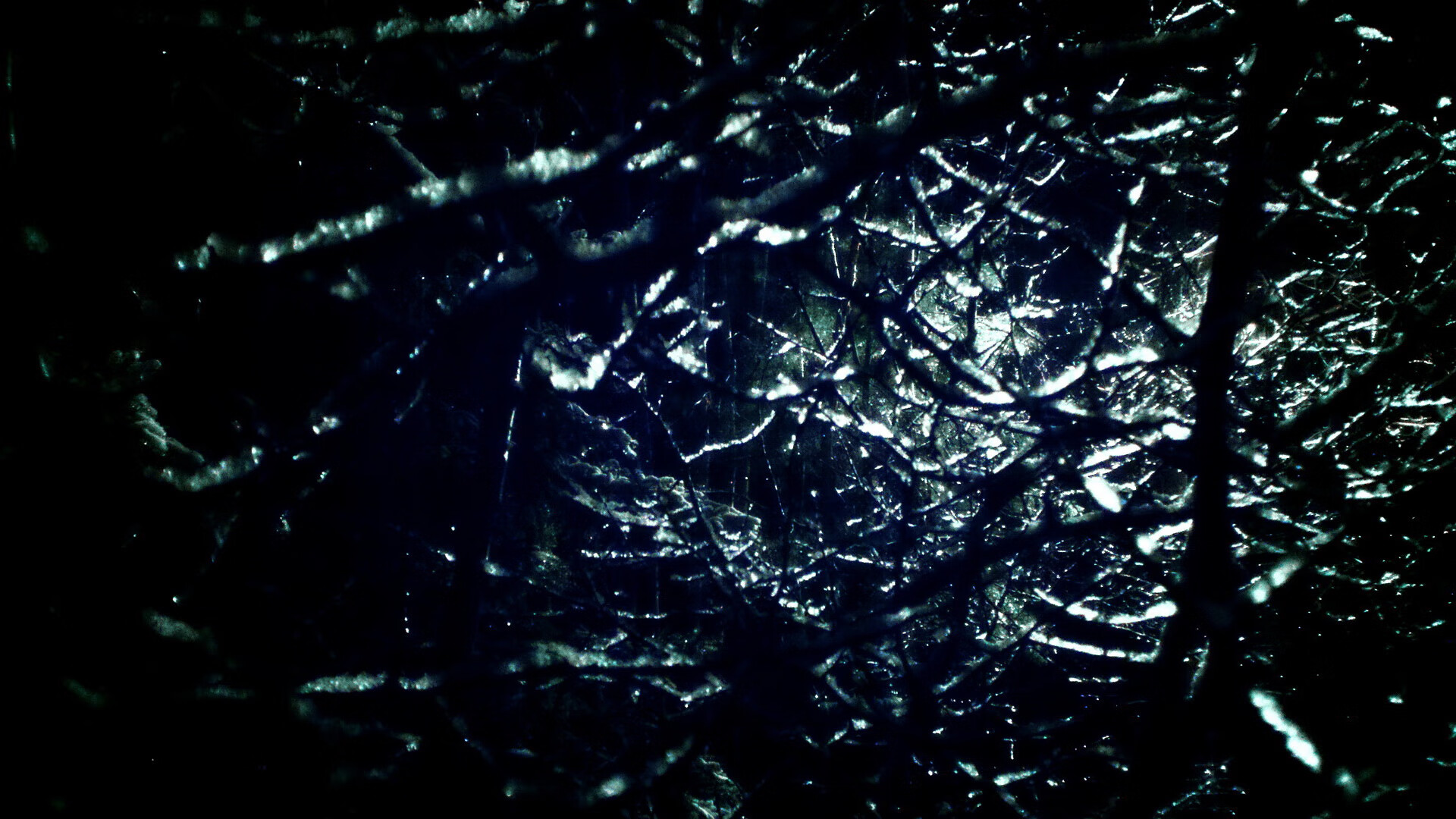 当防守艺术家化身决胜画笔，小贾伦用进攻美学浇灭老鹰